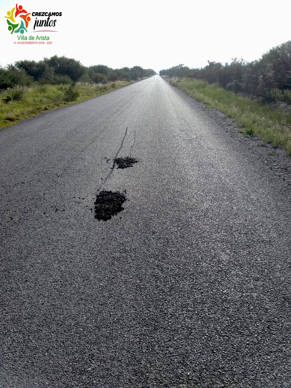 116878129 737283256838985 8336196222454748682 o