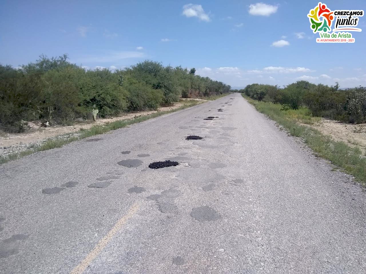 117037219 737283763505601 8214380714149542328 o