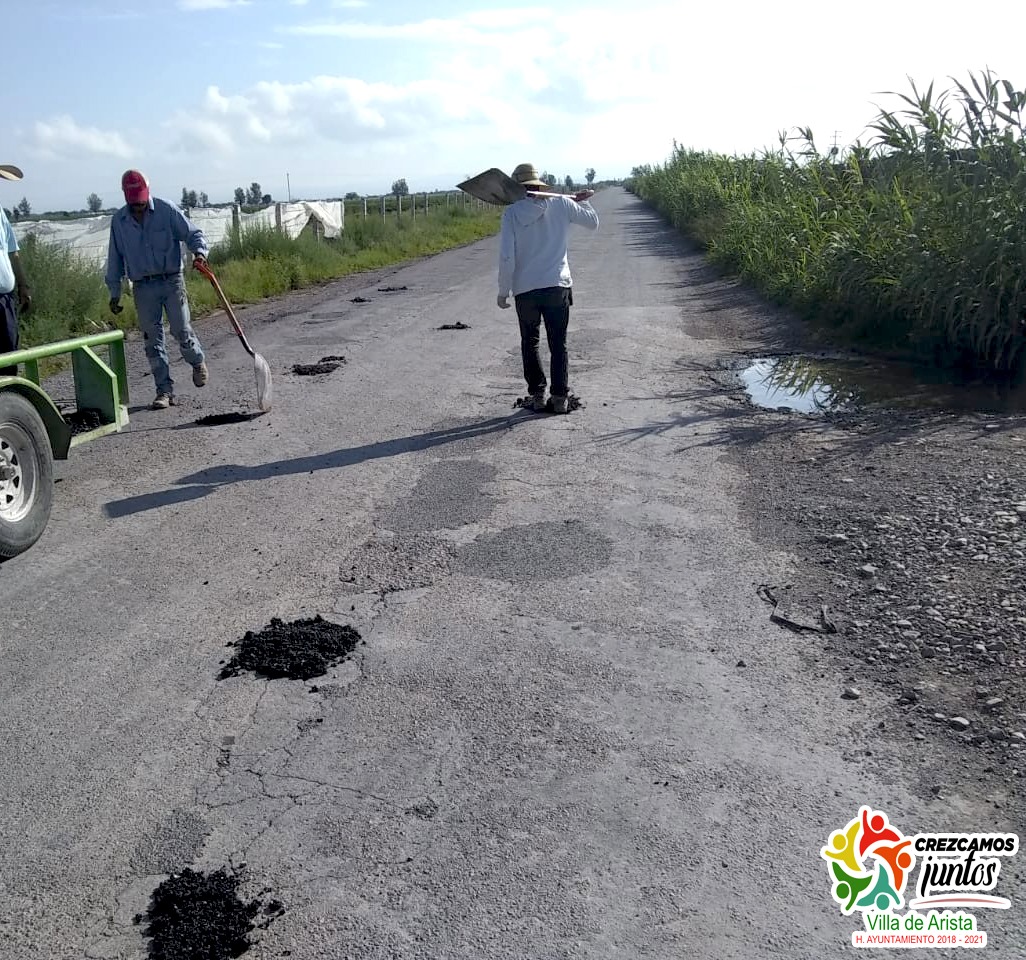 117120685 737283826838928 535685139773021756 o